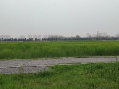 -汉长安城未央宫国家考古遗址公园