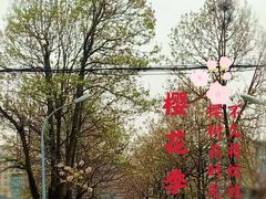 -两河城市森林公园