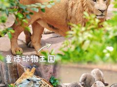 -长鹿旅游休博园