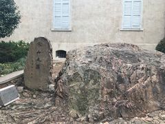 -上海佘山国家森林公园西佘山园