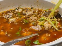 -院8里·少城记忆老川菜(宽窄巷子店)