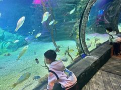 -沈阳海洋探索中心