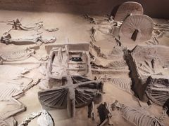 -洛阳周王城天子驾六博物馆