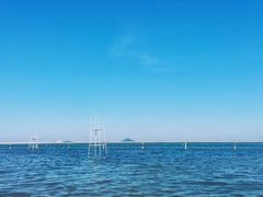 -碧海金沙