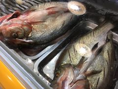 -老味道1992(武当山店)