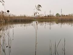 -嘉北郊野公园