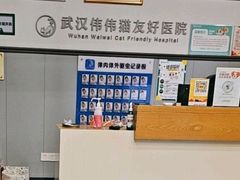 -伟伟宠物医院·瑞派猫友好医院·猫科(光谷店)