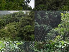 -宁波五龙潭景区