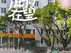 -天籁艺术高考培训学校·重庆艺考集训