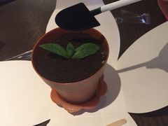 -Sweety Fairy小蜜蜂蛋糕&下午茶(大柏树店)