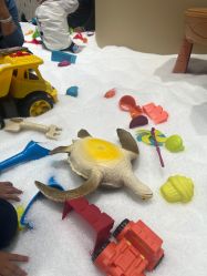 -奈尔宝家庭中心·亲子餐厅(北京东坝万达店)