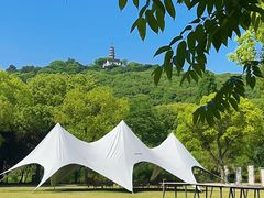 -苏州上方山国家森林公园