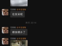 -半岛宠物医院24小时(科华中路店)