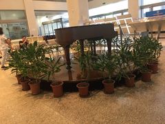 -上海交通大学医学院附属瑞金医院(总院)