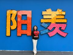 -雅达·阳羡溪山小镇中心