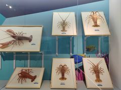 -陕西自然博物馆