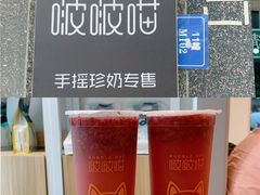 多肉杨梅-啵啵喵·猫咖(攀华国际店)