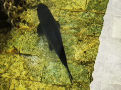-炊烟餐厅