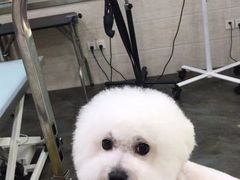 -暖阳宠物医院·犬猫康复中心·骨科