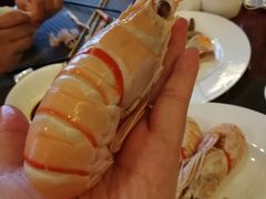 -亿利库布其七星湖沙漠生态旅游区