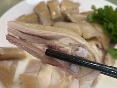 正宗湛江鸡-瑞记湛江鸡饭店·粤西第一鸡(粤垦店)