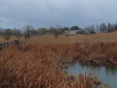 -苏州太湖湖滨国家湿地公园