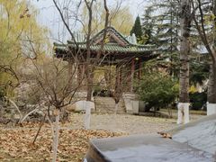 -山东师范大学(千佛山校区)