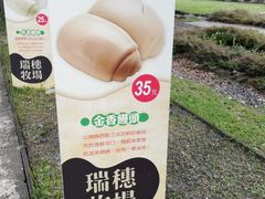 -瑞穗牧场