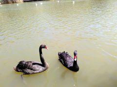 -新疆天山野生动物园