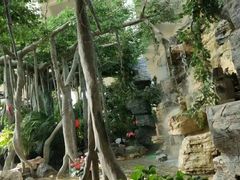 -东方华地城湿地温泉度假区