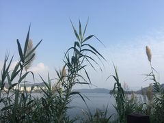 -千岛湖城中湖游船码头