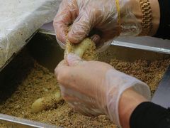 -叶氏麻糍(鼓浪屿店)