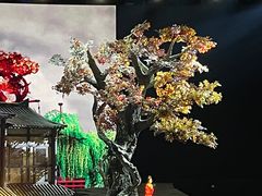 -《驼铃传奇》秀