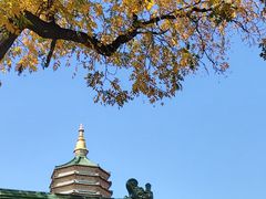 -八大处公园