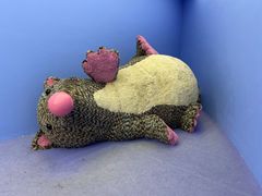 -上海宝龙美术馆