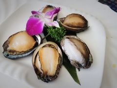 -蚝大仙横琴生蚝火锅(日月贝店)