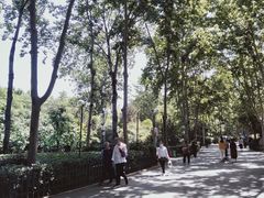 -西安市长乐公园