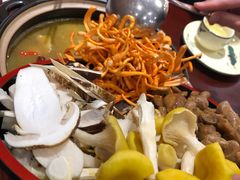 -菌之家·专业纯野生菌火锅·特色炒菌