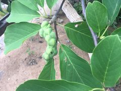 -金石唐风国际温泉会馆