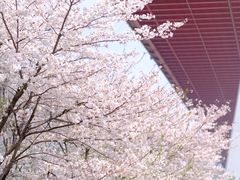 -南浦大桥长途旅游客运站