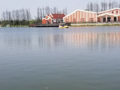 -上海长兴岛郊野公园