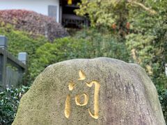 -十八棵（老龙井）御茶园(老龙井店)