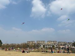 -两河城市森林公园