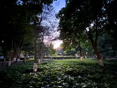 -康庄公园