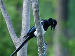 -白塘生态植物园