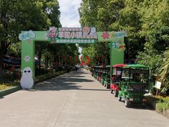 -上海都市菜园