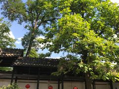 -阳明祠