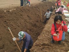 -解家河南菜(商鼎路店)