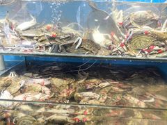 -仙螺岛海鲜自助餐厅(总店)
