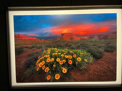 -罗红摄影艺术馆